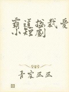 霸道总裁爱上我小短剧