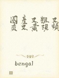 国产又粗又猛又爽又黄视频免费