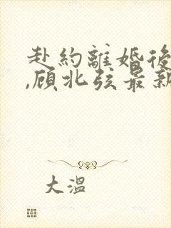 赴约离婚后苏o,顾北弦最新章节