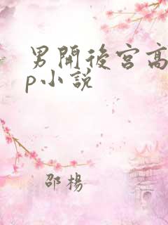 男开后宫高hnp小说