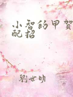 小智的甲贺忍蛙配招