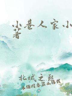 小巷人家小说原著