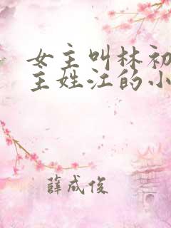 女主叫林初夏男主姓江的小说