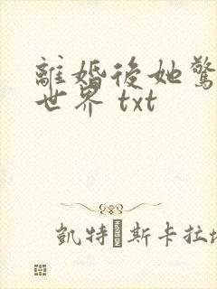 离婚后她惊艳了世界 txt