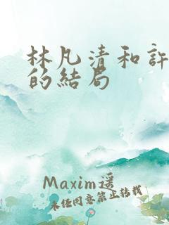 林凡清和许静芝的结局