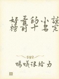 好看的小说排行榜前十名完结版