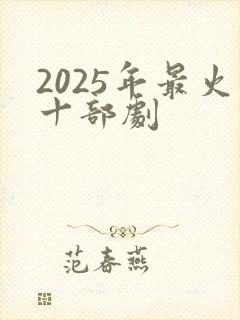 2025年最火十部剧