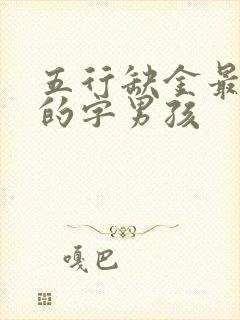 五行缺金最吉利的字男孩