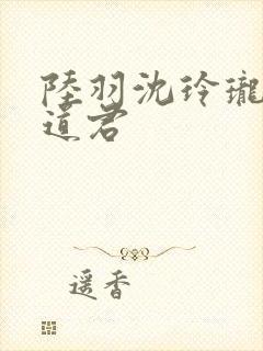 陆羽沈玲珑绝世道君