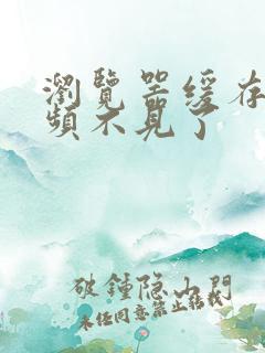 浏览器缓存的视频不见了