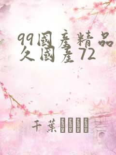 99国产精品久久国产72
