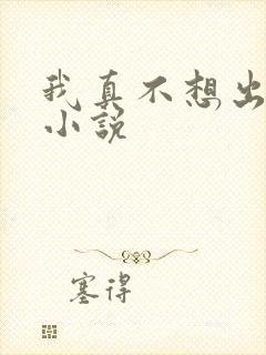 我真不想出名 小说