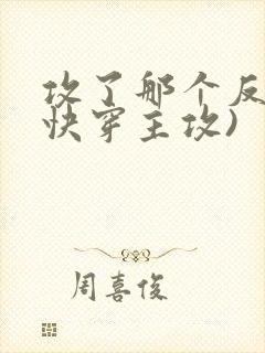 攻了那个反派(快穿主攻)