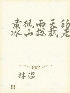 黄枫雨天的我的冰山总裁老婆