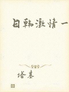 日韩激情一级片