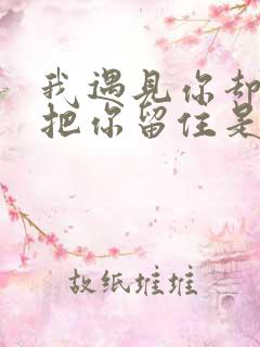 我遇见你却没能把你留住是什么歌