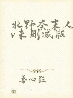 北野奈末人妻av未删减版