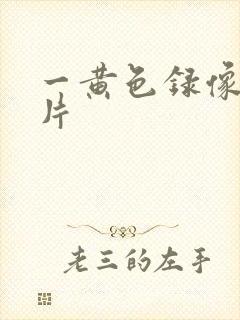一黄色录像一级片