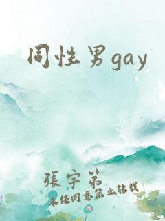 同性男gay