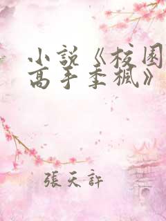 小说《校园全能高手季枫》