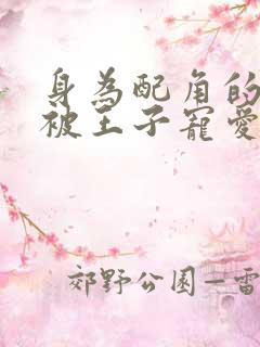 身为配角的我却被王子宠爱了免费漫画