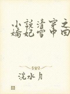 小说清穿之太子娇妃雪中回眸