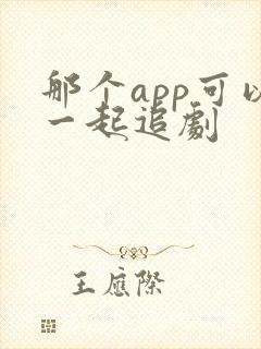 那个app可以一起追剧