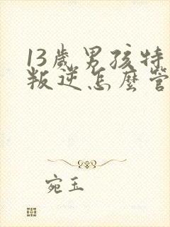 13岁男孩特别叛逆怎么管教