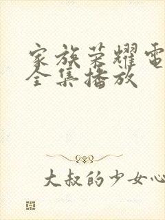 家族荣耀电视剧全集播放