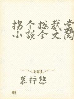 拐个总裁当爹地小说全文阅读