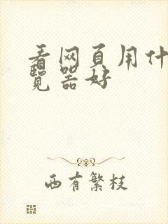 看网页用什么浏览器好