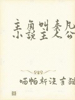 主角叫秦凡是的小说主人公