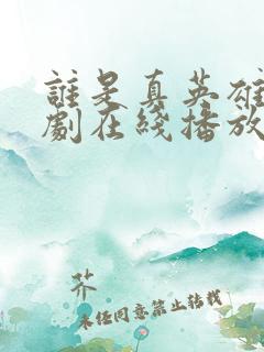 谁是真英雄电视剧在线播放