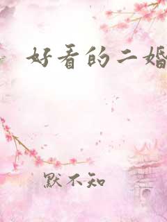 好看的二婚小说