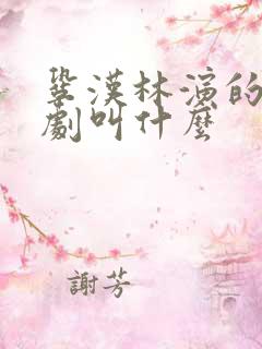 巩汉林演的谍战剧叫什么