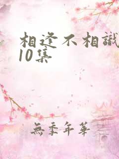 相逢不相识短剧10集