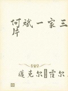 何斌一家三口照片