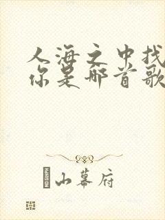 人海之中找到了你是哪首歌的歌词