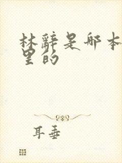 林辞是哪本小说里的