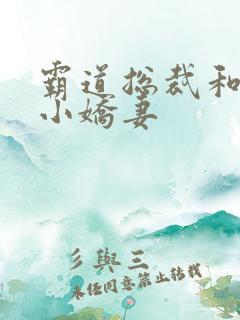 霸道总裁和她的小娇妻