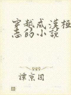 穿越成汉桓帝刘志的小说