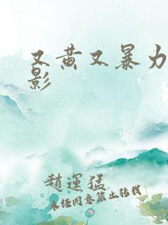 又黄又暴力的电影