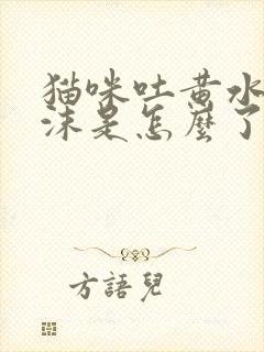 猫咪吐黄水带泡沫是怎么了