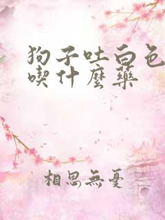 狗子吐白色粘液吃什么药