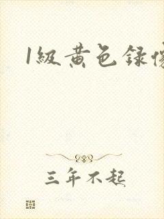 1级黄色录像.