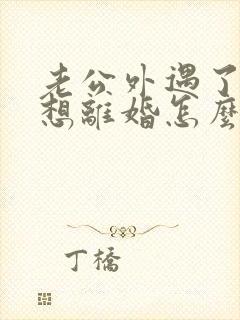 老公外遇了我不想离婚怎么办