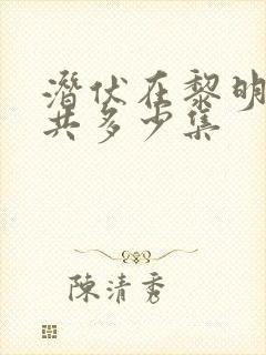 潜伏在黎明之前共多少集