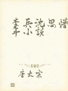 李兵沈思懵懂少年小说