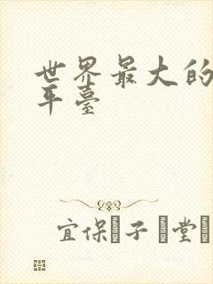 世界最大的游戏平台