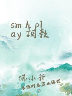 sm h play 调教